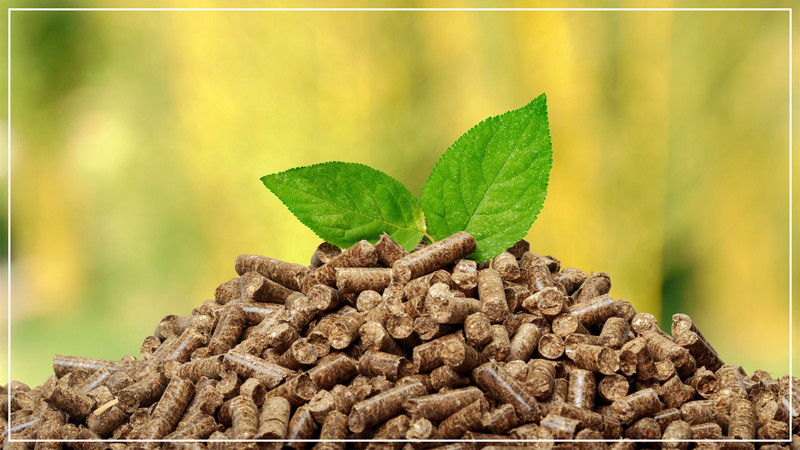 Holzpellets
